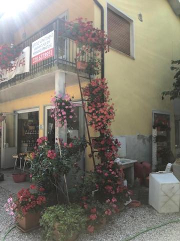 Agriresidence San Pietro 比比翁 外观 照片